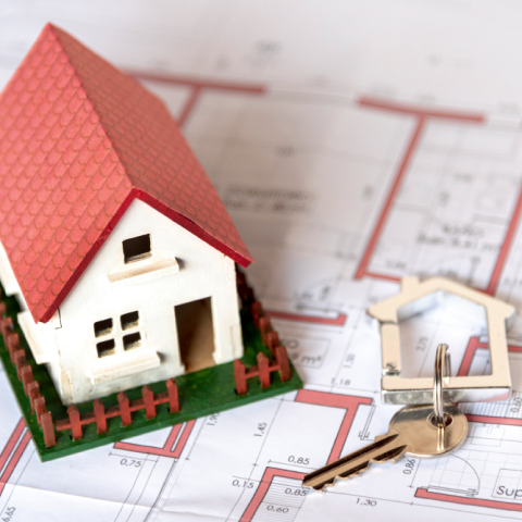 development-finance-03